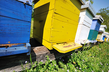 Image showing bee home at meadow