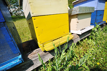 Image showing bee home at meadow