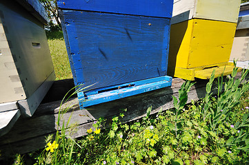 Image showing bee home at meadow