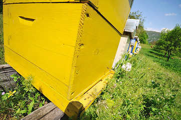 Image showing bee home at meadow