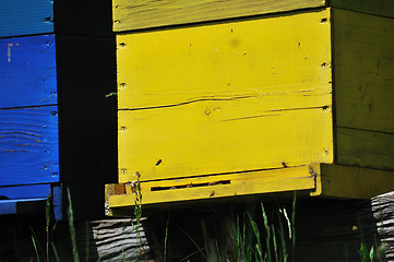 Image showing bee home at meadow