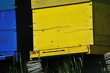 Image showing bee home at meadow