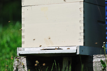 Image showing bee home at meadow