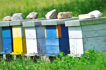 Image showing bee home at meadow