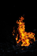 Image showing wild fire