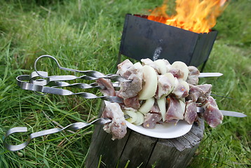 Image showing shashlik and fire