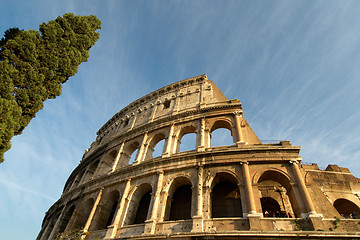 Image showing colosseum and cypress