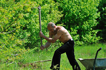 Image showing man garden work