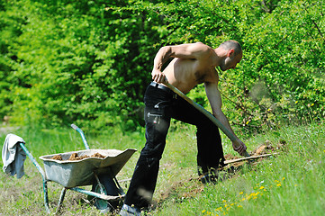 Image showing man garden work