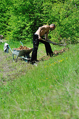 Image showing man garden work