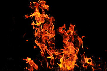 Image showing wild fire