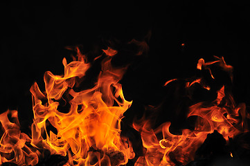 Image showing wild fire