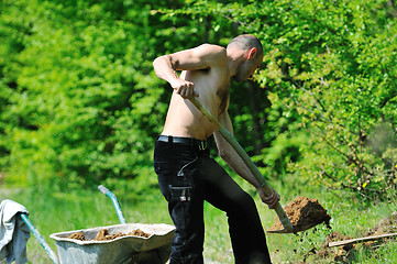 Image showing man garden work