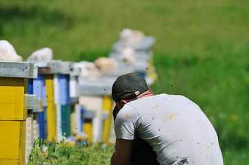 Image showing man outdoor