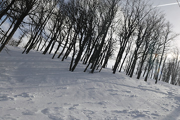 Image showing winter landscape