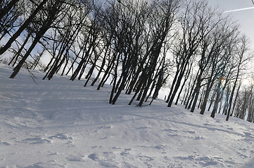 Image showing winter landscape