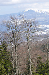 Image showing winter landscape