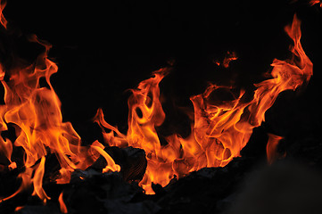 Image showing wild fire