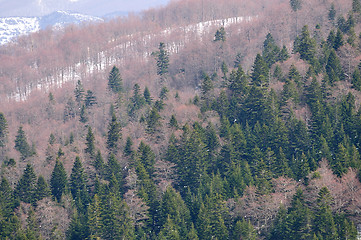 Image showing winter landscape