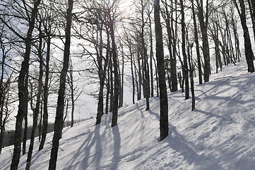 Image showing winter landscape