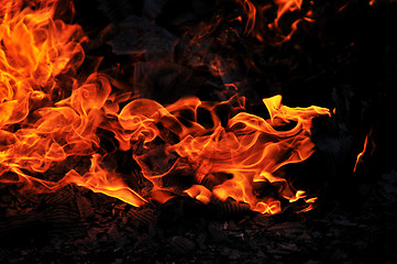 Image showing wild fire