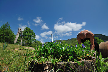 Image showing man garden work