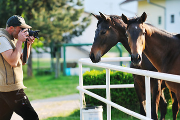 Image showing photographer and horse