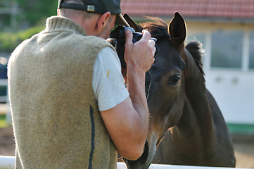 Image showing photographer and horse