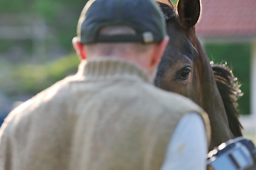 Image showing photographer and horse