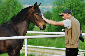 Image showing photographer and horse