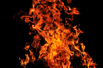 Image showing wild fire