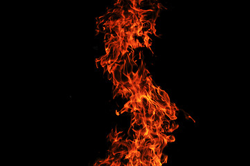 Image showing wild fire