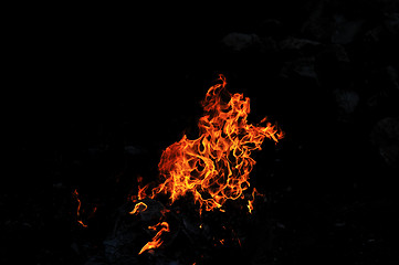 Image showing wild fire