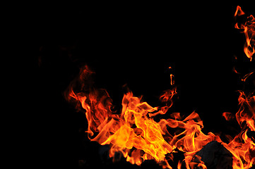 Image showing wild fire