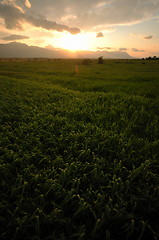 Image showing beautiful sunset in nature