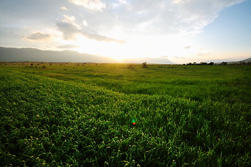 Image showing beautiful sunset in nature