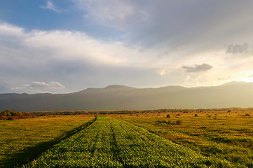 Image showing beautiful sunset in nature