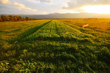 Image showing beautiful sunset in nature