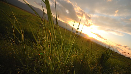 Image showing beautiful sunset in nature