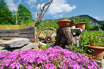 Image showing garden with beautiful flower decoratin