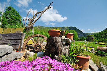 Image showing garden with beautiful flower decoratin