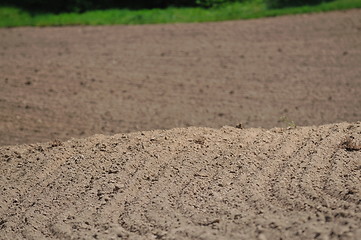 Image showing rural field farming