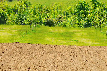 Image showing rural field farming