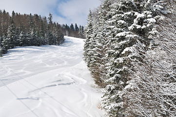 Image showing tracks on ski slopes at beautiful sunny  winter day