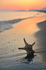 Image showing summer beach sunset with star on beach