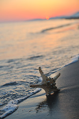 Image showing summer beach sunset with star on beach