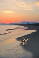 Image showing summer beach sunset with star on beach