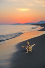 Image showing summer beach sunset with star on beach