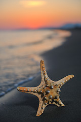 Image showing summer beach sunset with star on beach