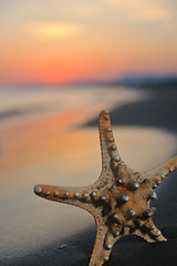 Image showing summer beach sunset with star on beach